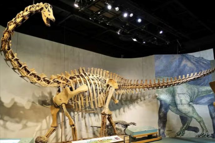 Entrada-al-Museo-de-Naturaleza-y-Ciencia-con-audioguía-en-02-25-2026_01_50_PM